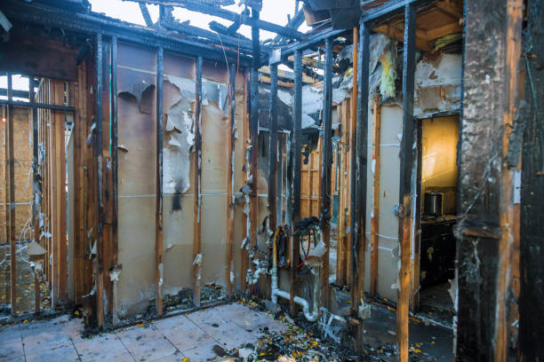 Professional Fire Damage Removal technician working in Hebron, MD